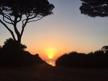 Silhouette trees on landscape against sky during sunset