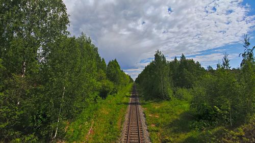 Railroad tracks amidst trees against sky