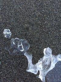 Close-up of snow on beach