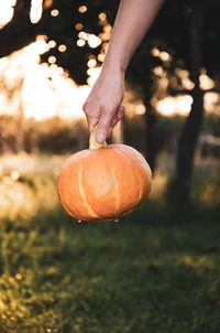 Close-up of hand holding pumpkin on field