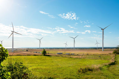 Wind farm on the polish baltic sea.