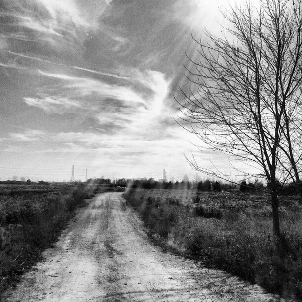 the way forward, diminishing perspective, sky, landscape, vanishing point, field, tranquility, tranquil scene, dirt road, road, tree, rural scene, bare tree, country road, grass, transportation, nature, scenics, empty road, long