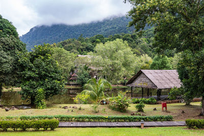 Gazebo amidst trees and buildings against sky