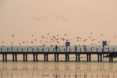 Flock of birds flying over sea against sky