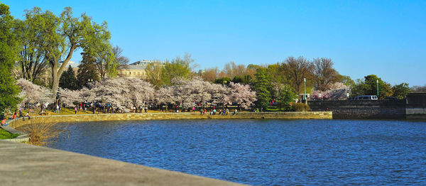 Scenic view of lake against clear blue sky