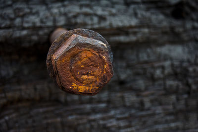 Close-up of rusty metal on wood