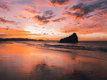 Silhouette birds flying over sea against sky during sunset