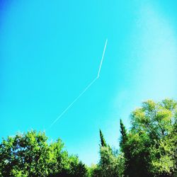 Low angle view of trees against blue sky