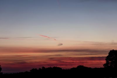 Silhouette trees against sky during sunset