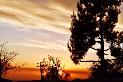 Low angle view of silhouette trees against sky at sunset