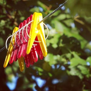 Close-up of clothespins hanging on tree