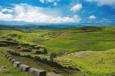 Scenic view of agricultural field against sky