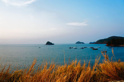 Scenic view of sea seen from nam du island