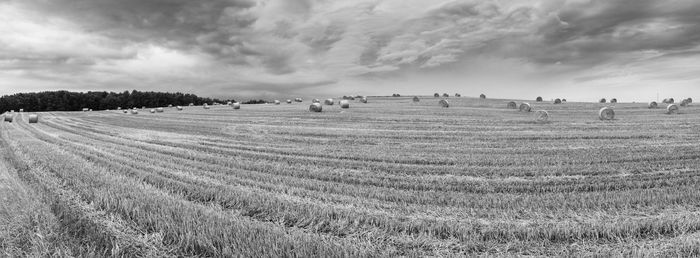 Scenic view of agricultural field against sky