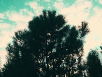 Low angle view of silhouette tree against sky