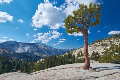 Scenic view of tree mountains against sky