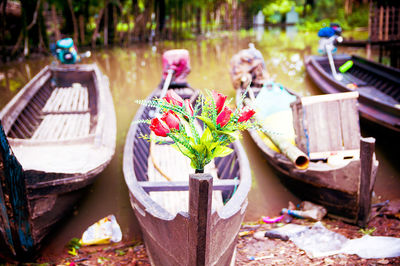 Close-up of boat with plant