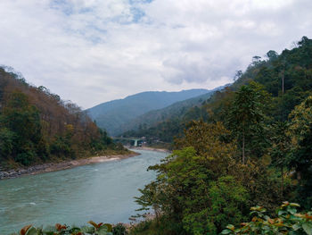 Scenic view of river amidst trees against sky