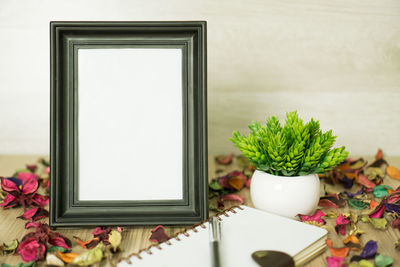 Close-up of potted plant on table