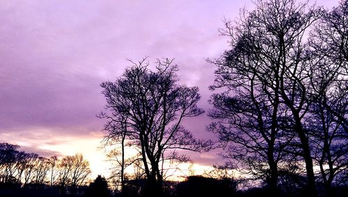 Silhouette trees against dramatic sky during sunset