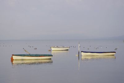 Boat moored on sea against sky