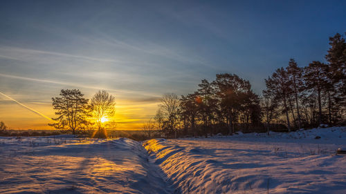 Trees on snow covered field against sky during sunset