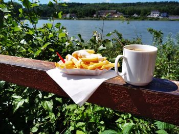 Breakfast on table by plants