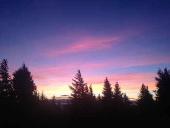 Silhouette trees against sky during sunset