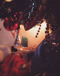 Close up of plant against blurred background