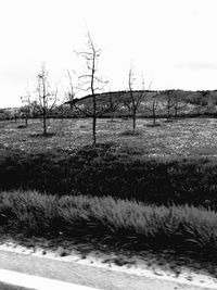 View of rural landscape