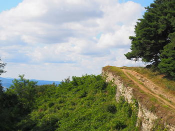 Trees on landscape against sky