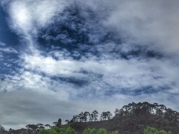 Low angle view of trees against cloudy sky