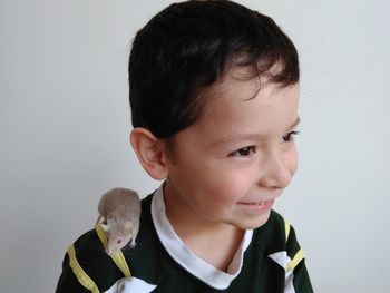 Close-up of cute happy boy with mouse on shoulder against wall