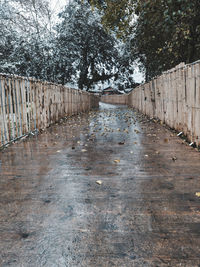 Footpath amidst trees during winter
