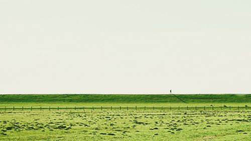 Scenic view of landscape against clear sky