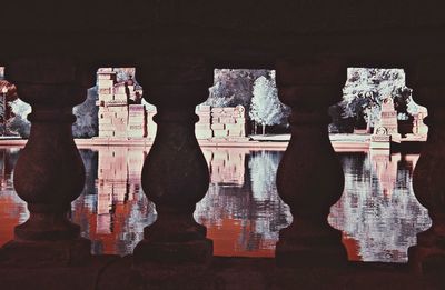 Row of trees in the dark