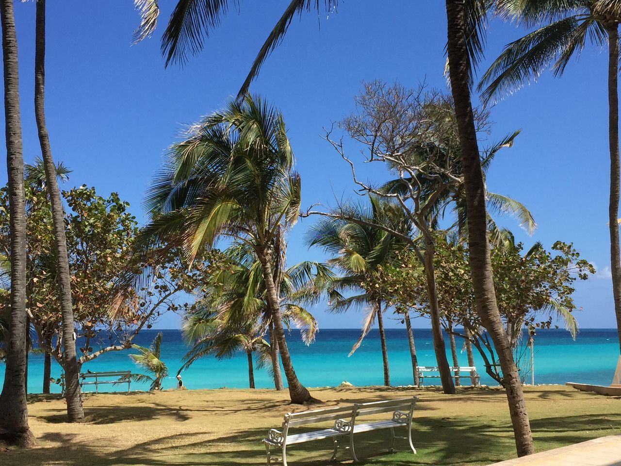 Cuban beach