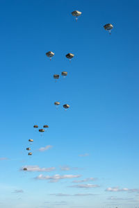 Low angle view of birds flying in sky