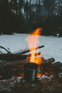 Bonfire on wooden log in winter