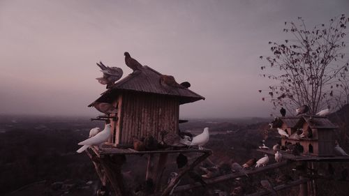 Traditional windmill on tree against sky at sunset