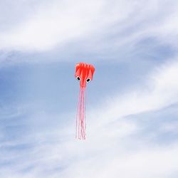 Low angle view of red flying in sky