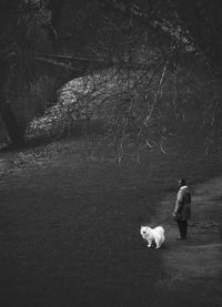 Rear view of woman with dog on street