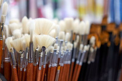 Close-up of paintbrushes in row