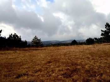 Scenic view of field against sky