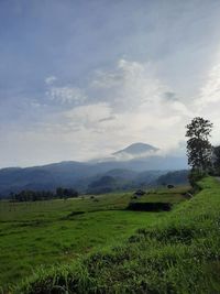 Scenic view of landscape against sky