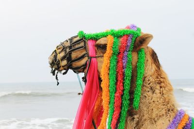 Close-up of multi colored umbrellas on beach against sky