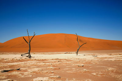 Scenic view of desert against clear sky