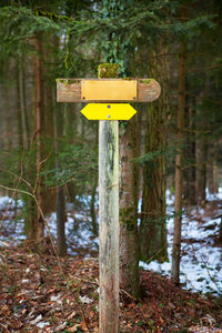 Information sign on tree trunk in forest
