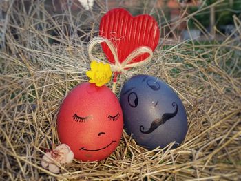 Close-up of grass in field