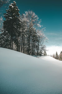 Trees on snow covered field against sky